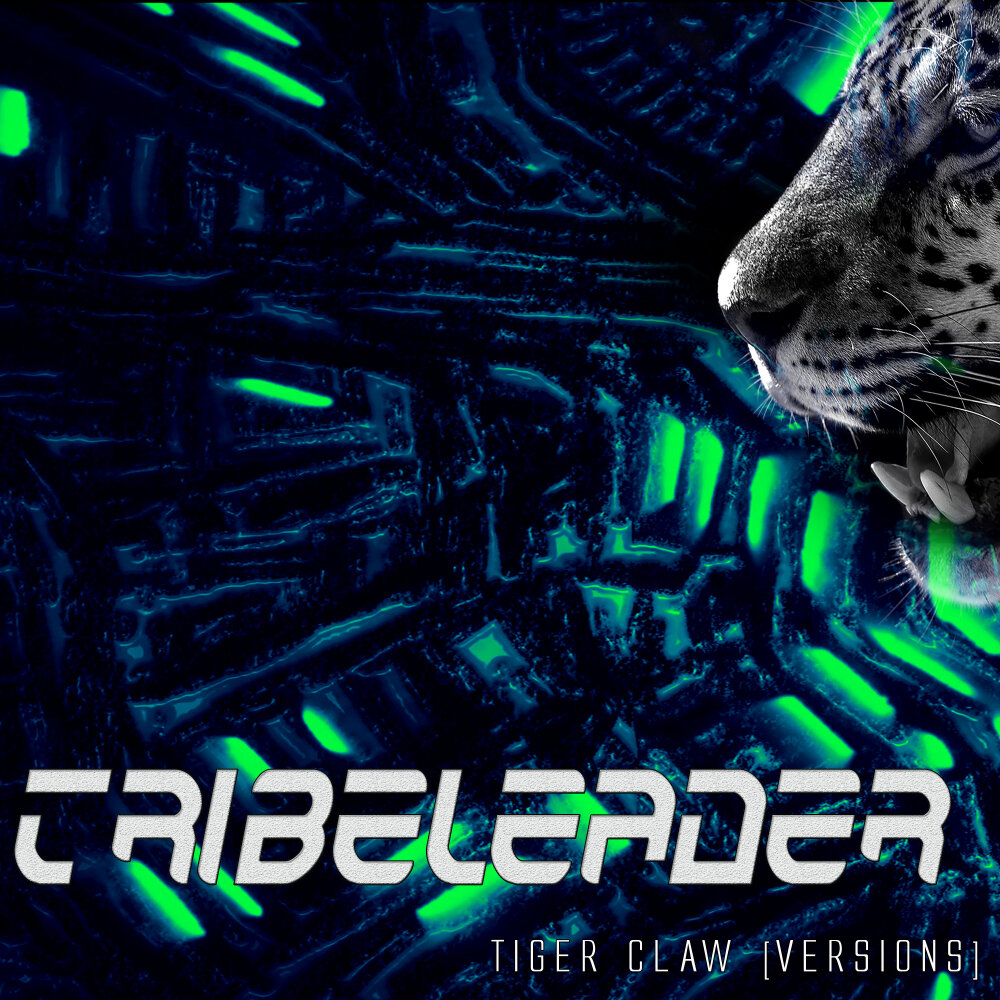 Tiger claw. Tiger Claws. Тигр с компьютером. Карта muzik Tiger. Tiger's Claw Slot.