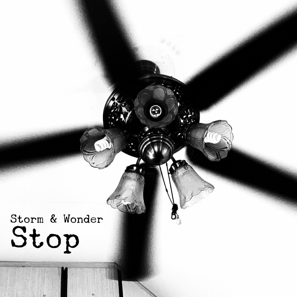 Stop and wonder