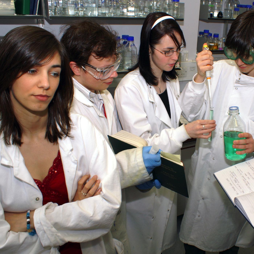 Scientists listening. Monkey Science.