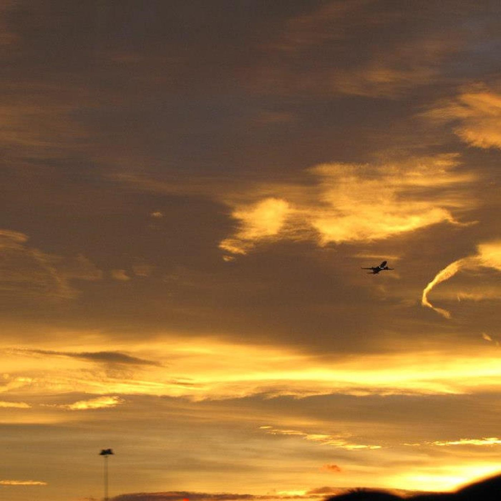 Three fields entertainment. Goldfield entertainment. Вк three skies. Danger zone гонки. Three fields.