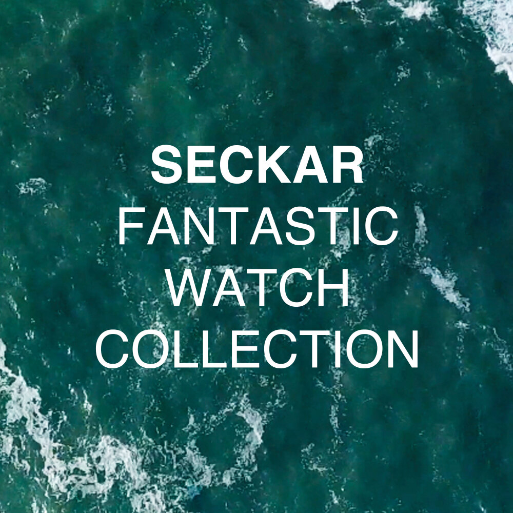 Fantastic watch. Seckar.