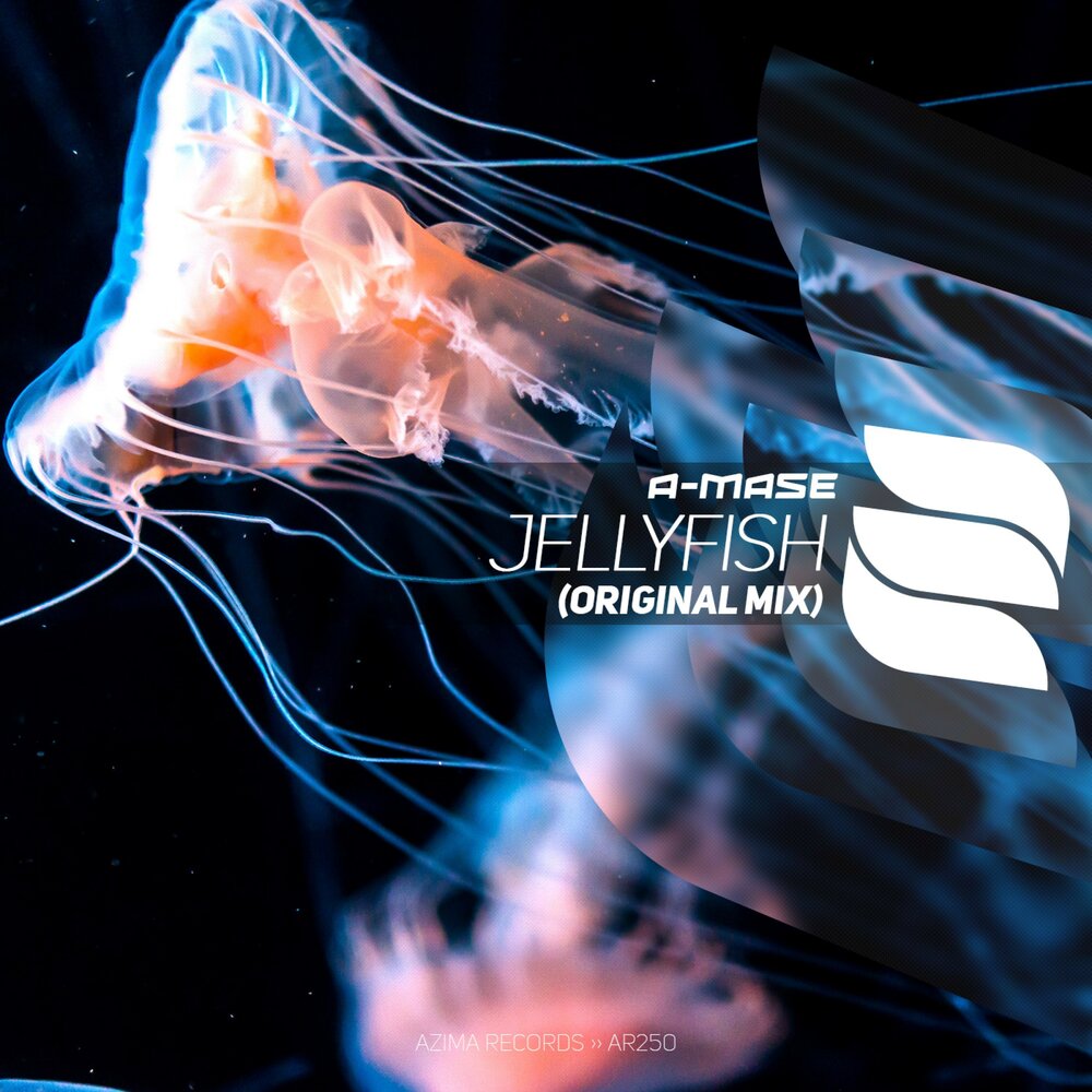 A mase. Electric Jellyfish de Battle. "A-Mase" && ( исполнитель | группа | музыка | Music | Band | artist ) && (фото | photo). A-Mase Sulimova - Run away Deep House Music.