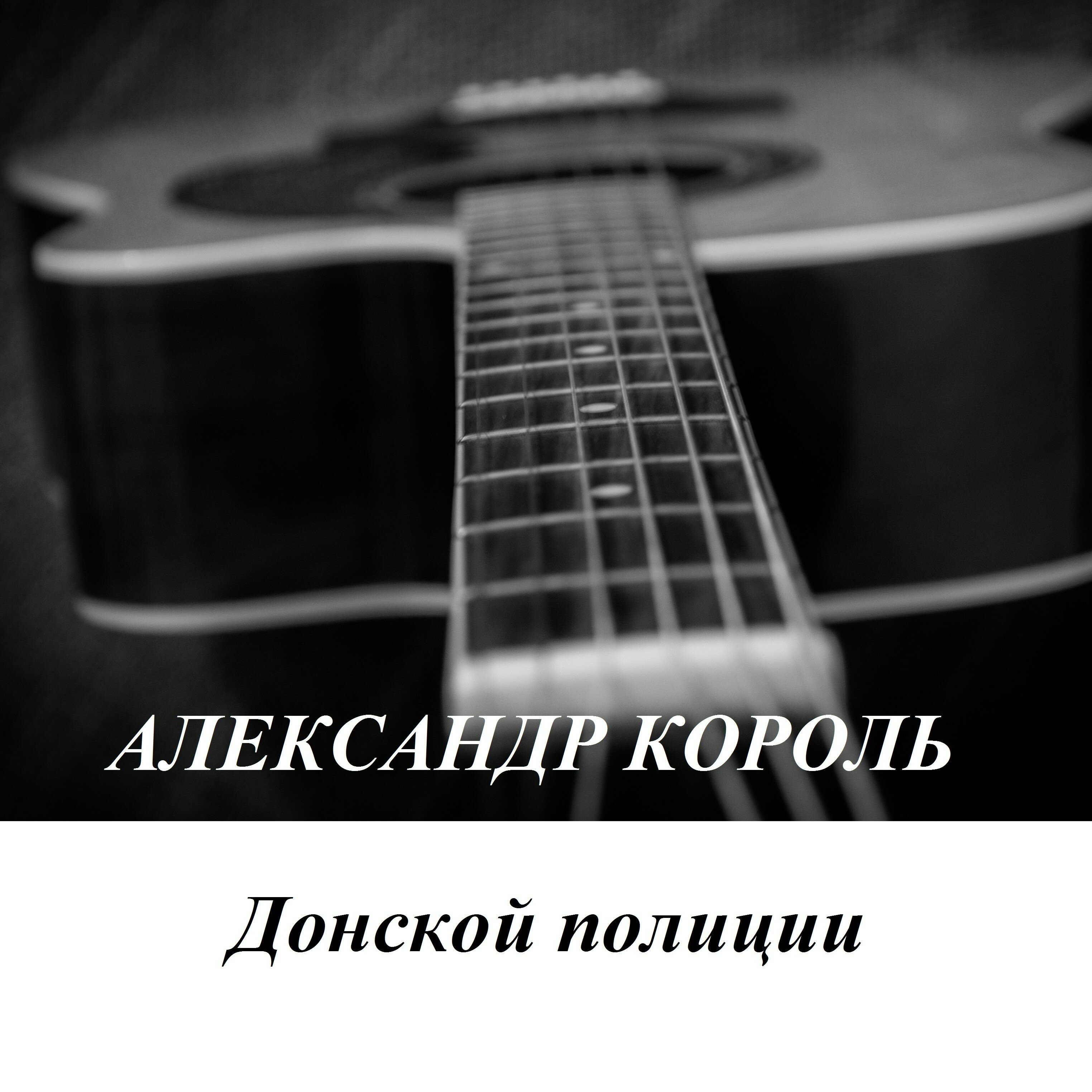 Обложка релиза Донской полиции