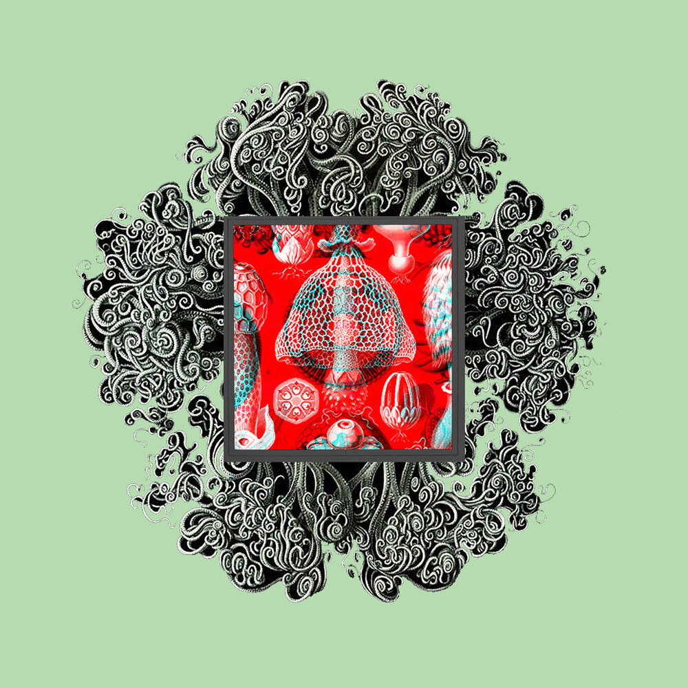 гта сан андреас загрузочные экраны. T bone gta sa. ти боун мендез gta: san andreas. тис ягодный (taxus baccata david p9). миссии ти боун мендез.