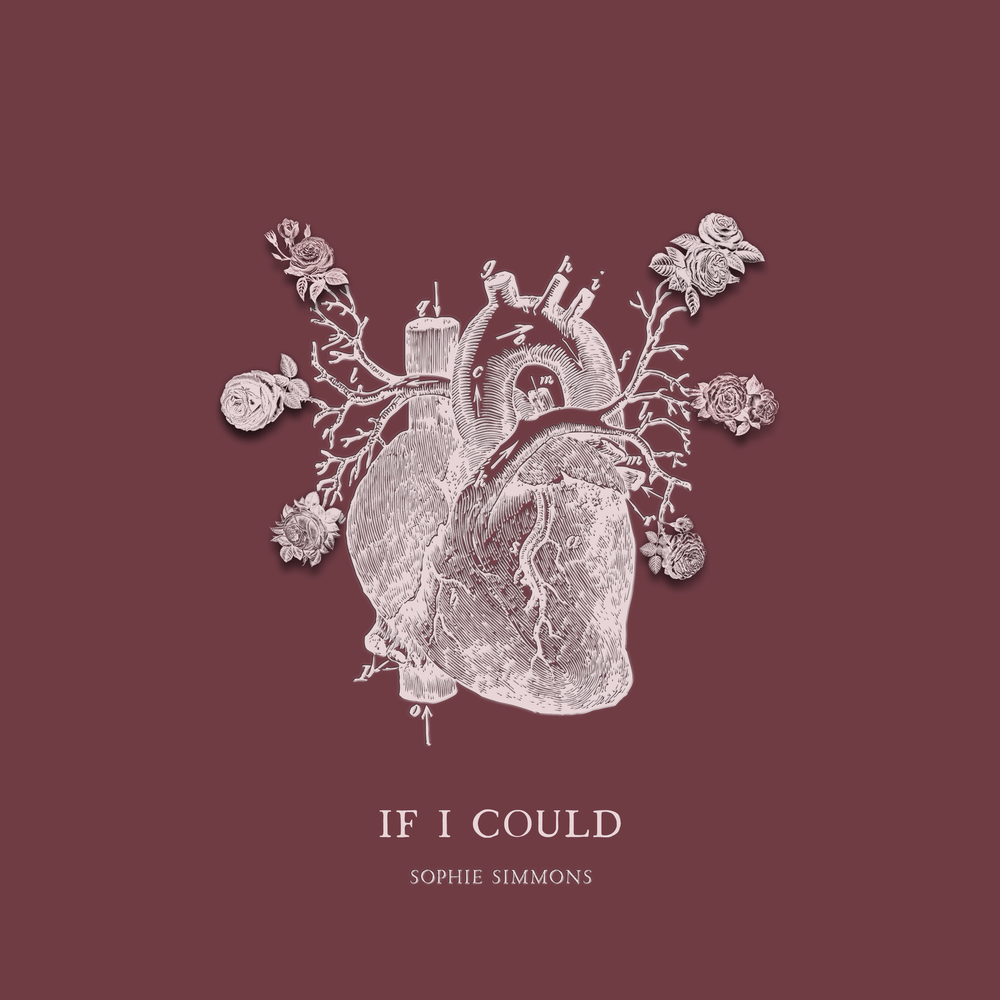 Could cover. If i could. Dynoro feat. Sophie Simmons.