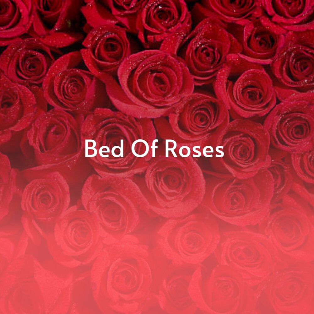 Песня bed of roses. No Bed of Roses.