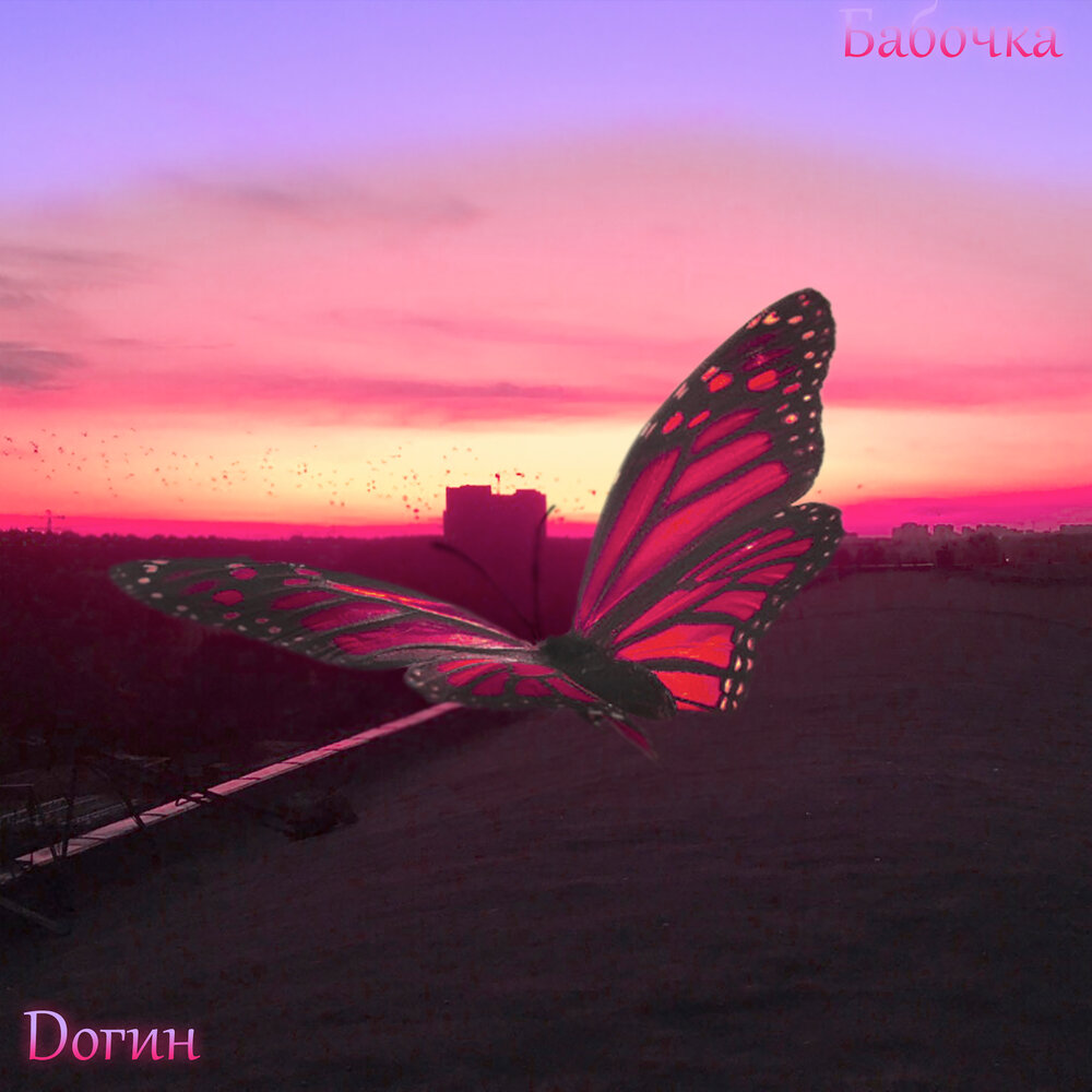 Какая бабочка песня. Музыкальный альбом с бабочкой. Dогин - бабочка. Рэп бабочки. Butterfly трек.