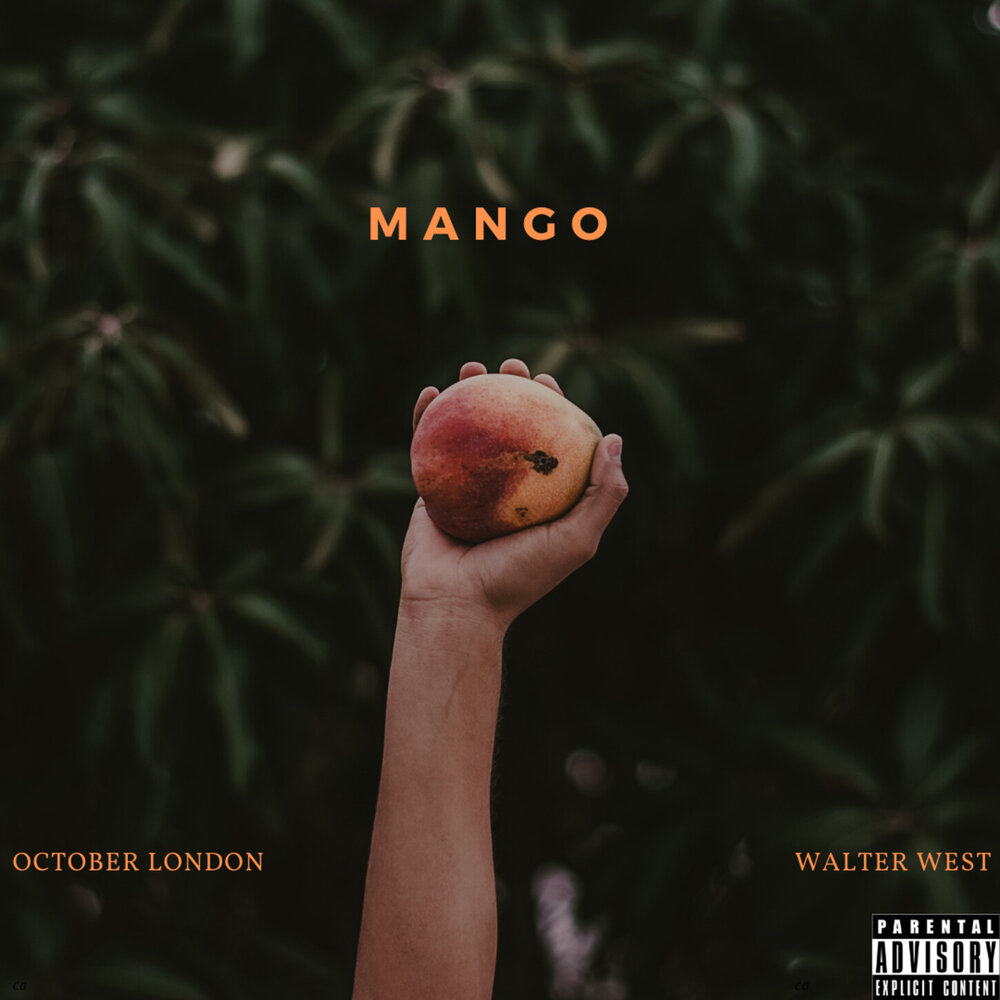 Песня mango mr. Манго альбом. Mango песни. Манго музыка слушать. Песня манго текст.