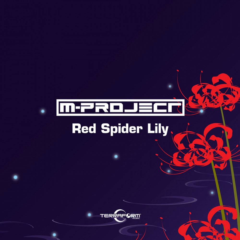 Lily слушать. Группа Red Spider. Lily (Original Mix) entis. Red Spider Lily PNG. @✮:Red Spider Lily and there is a Blue ones too.