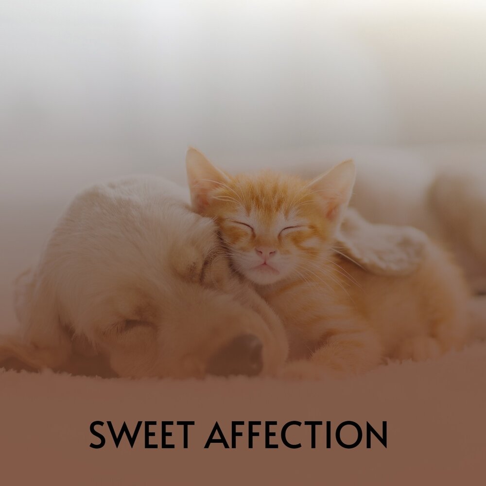 Sweet affection. Sweet affection High and Low quality.