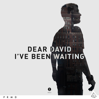 Dear David