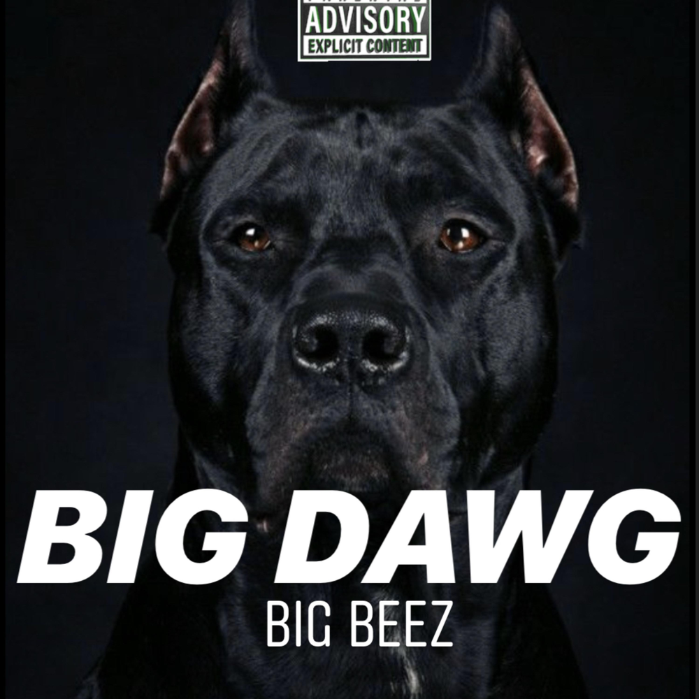 The big dawgs. Dawg. Big Dawg.