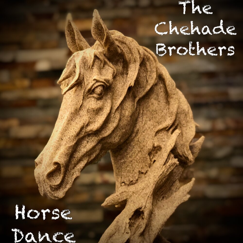 Влюбленные лошади. Two brother and horse. Brother horse. Buckskin перевод. Brother horse.
