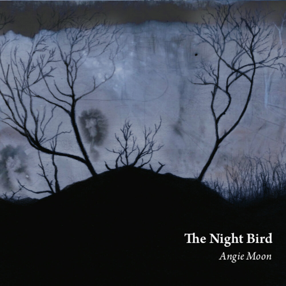 Shakatak фото. The night birds. They are you night birds what do know. The night birds. Night birdie.