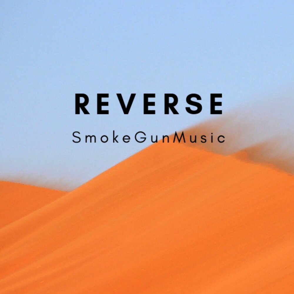 Reverse слушать. Reverse Gun.