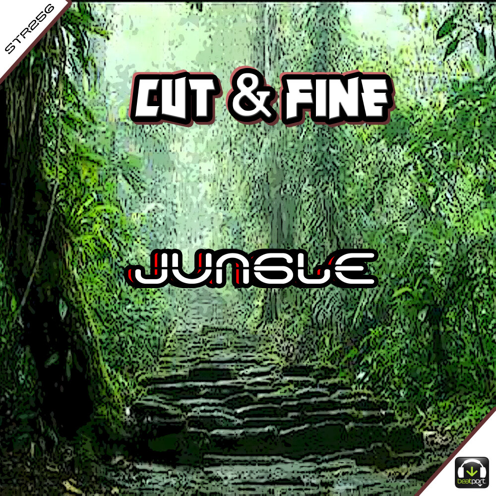 Jungle remix