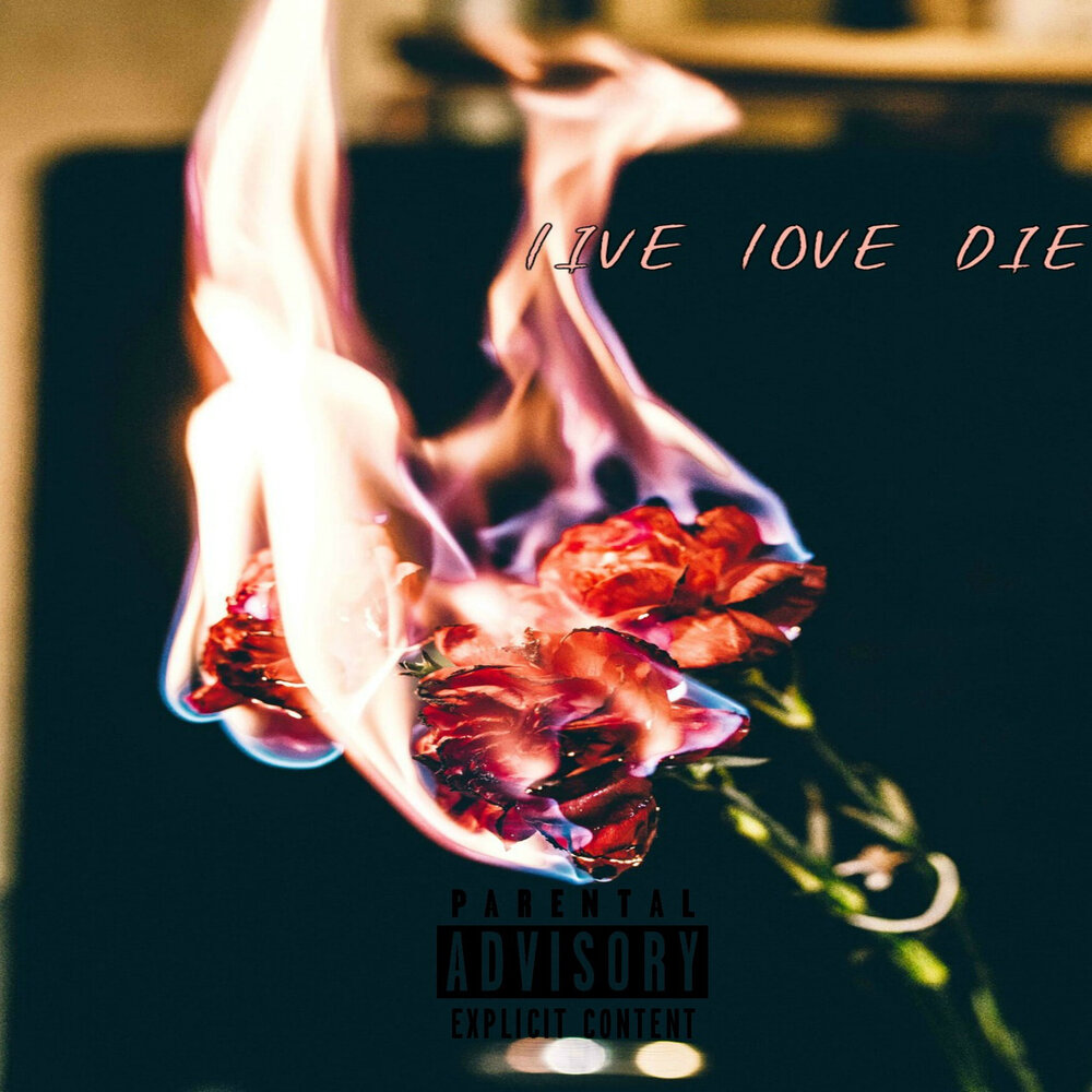 Died loving. Love or die. Love died. Make Love or die.