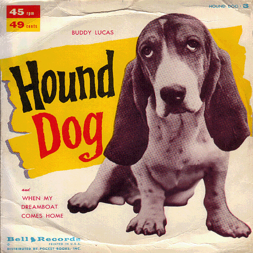 Bloodhound песни. Hound Dog. Бадди дог. Hound Dog песня. Щенки обложка.