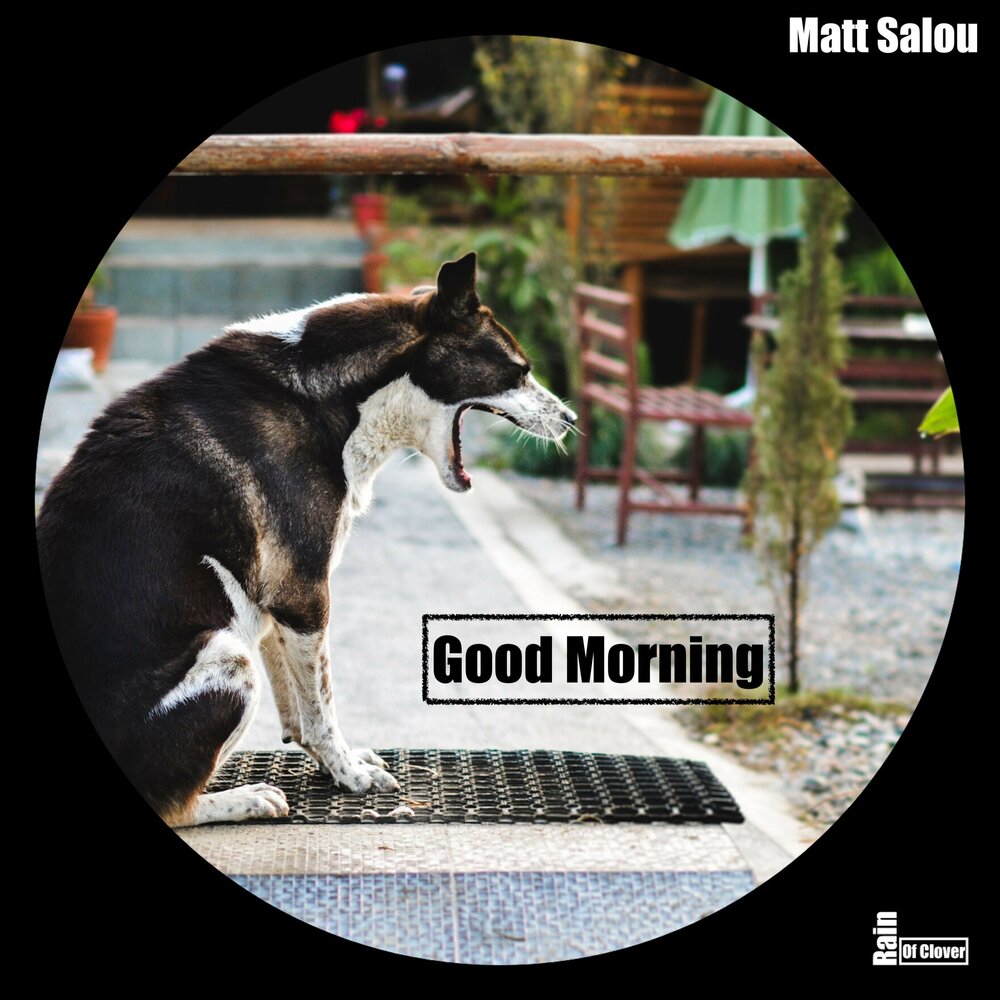 Good Morning - Matt Salou. 
