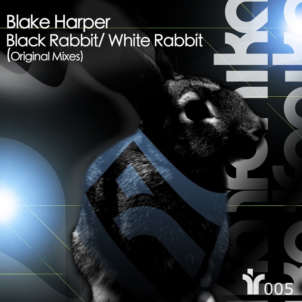 White Rabbit группа. White Rabbit песня. Блейк Харпер. Песня Rabbit Black.