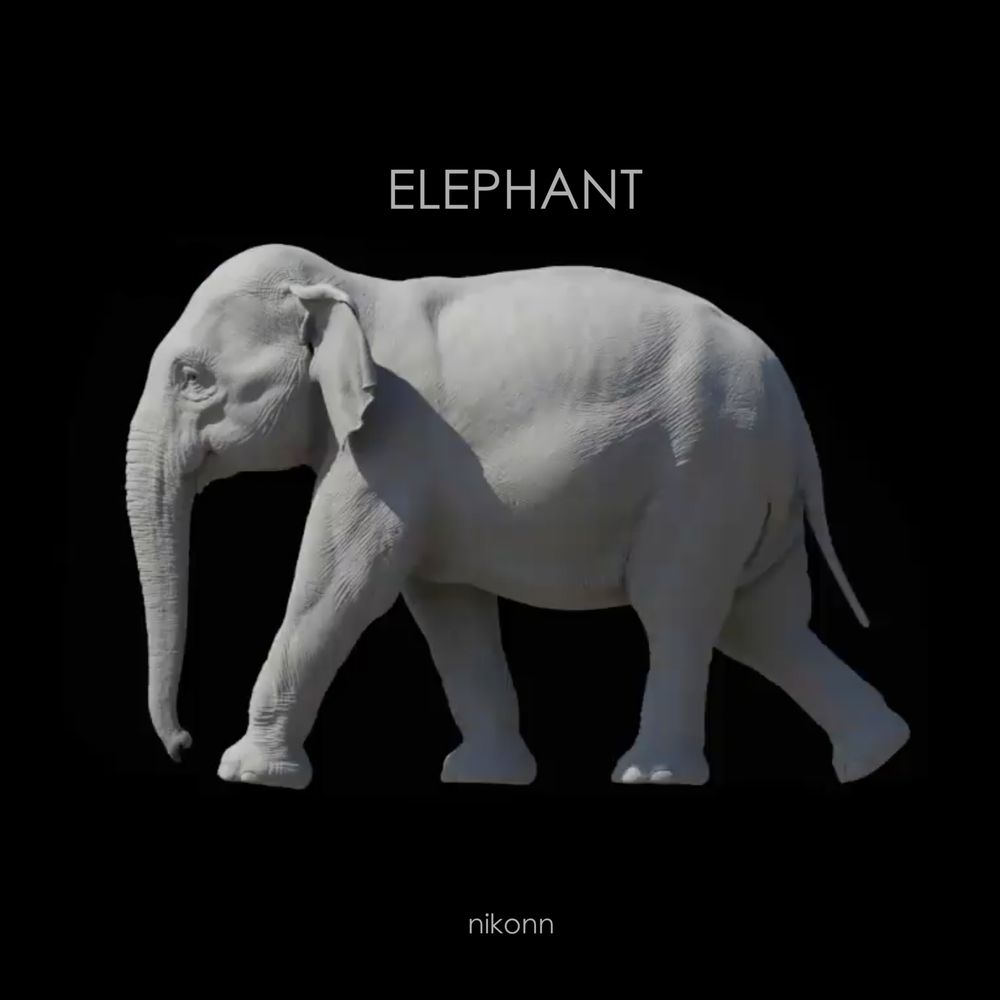 Elephant music