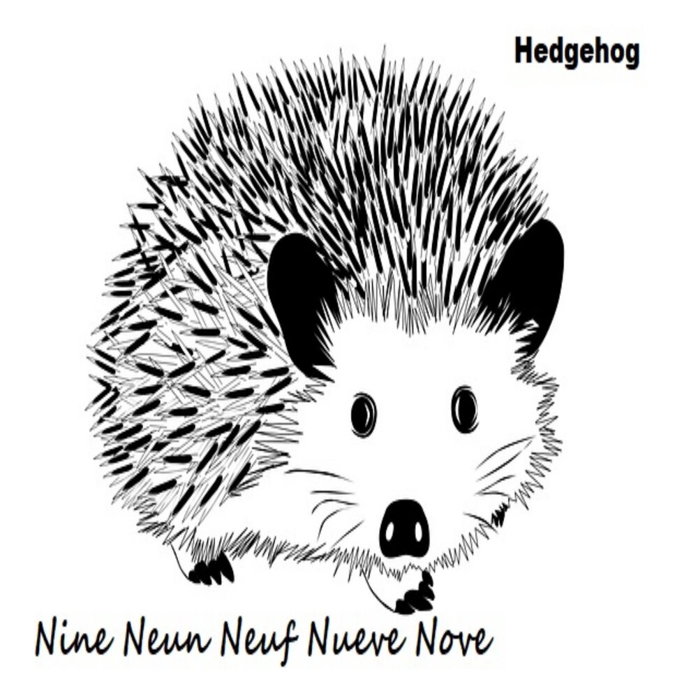 Hedgehogs песни. Hedgehog песня. Listening Hedgehog.