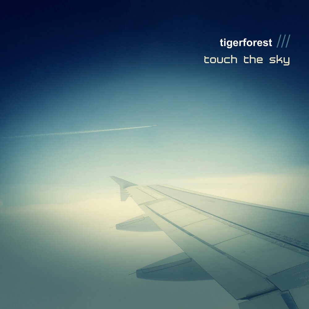 Touch me the sky. Touch me the sky. Touch the sky. Touch the sky miyagi ollane. Обложка touch the sky.