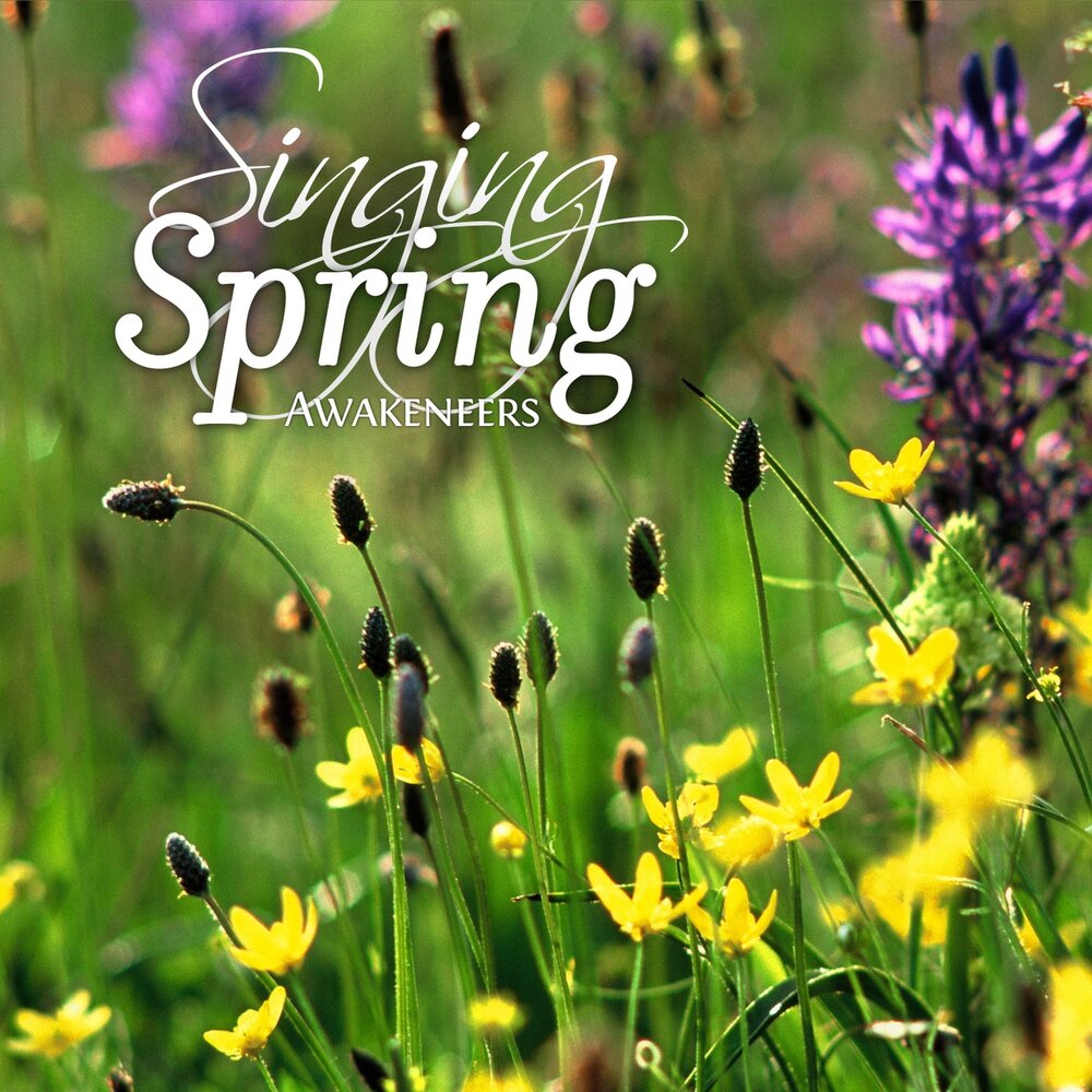 Spring singing. Спринг слушать. Spring Lyrics. Spring listen a minute.