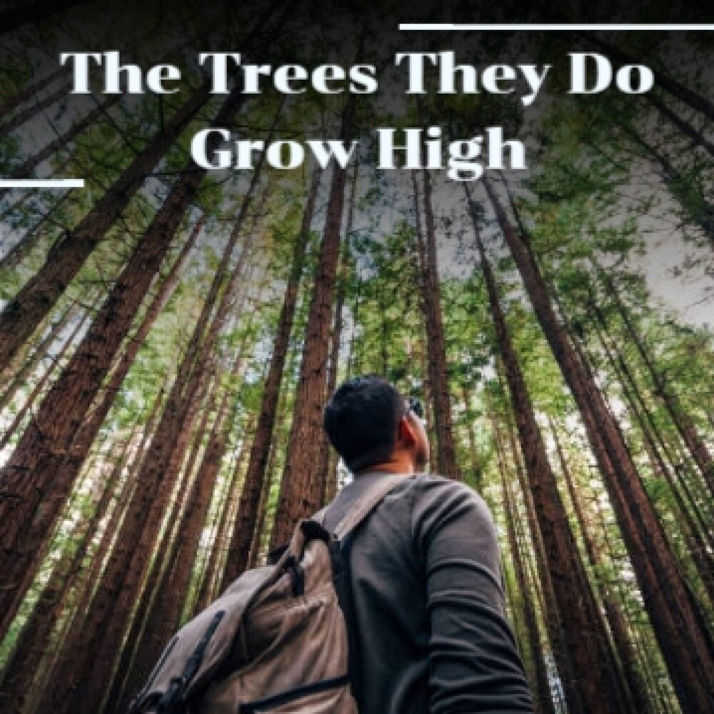 They trees. The Trees they do grow High Ноты. The Trees they grow so High слушать мелодию.