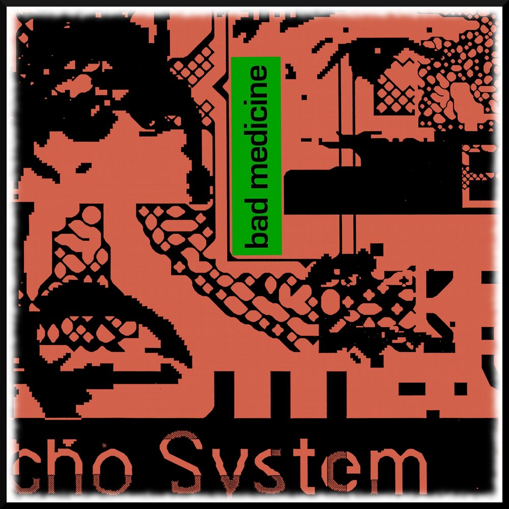 Echo system