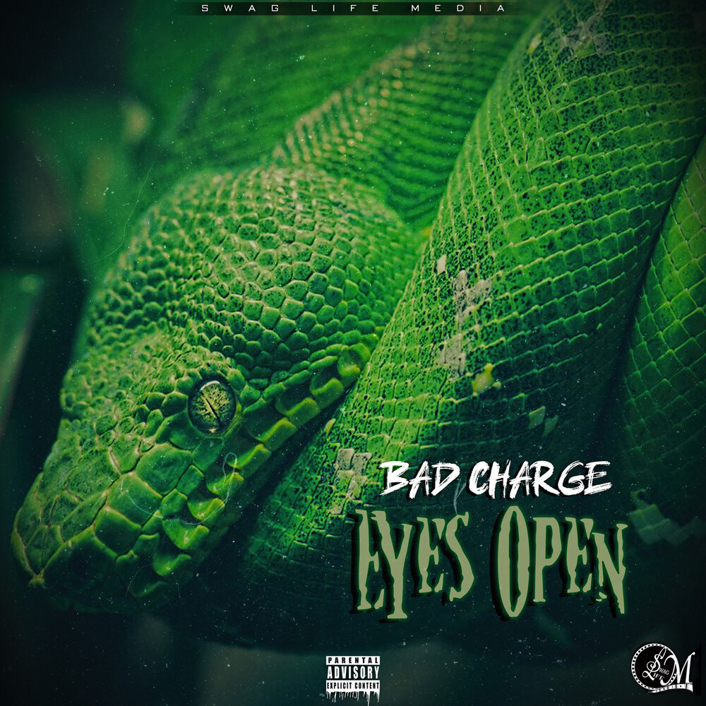 Open bad. Slatt. Green Snake напиток. DJ Astral. Slatt Wallpaper.