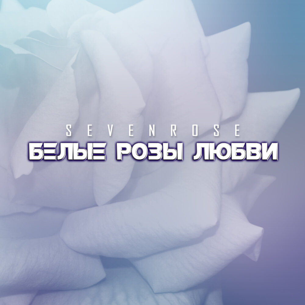 Sevenrose белые розы любви maxi version. Sevenrose белые розы любви. белые розы любви sevenrose. белая роза любви. Sevenrose белые розы любви maxi version.