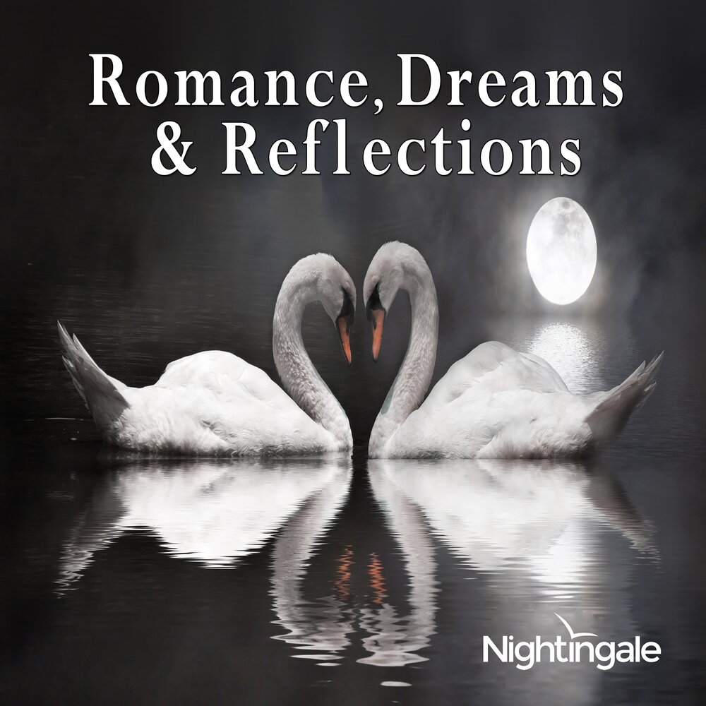 Альбом romance. Dreams Romance. The Love of the Nightingale. Romantic Dream. Romantic Dreams Brown.