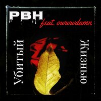 artist-cover