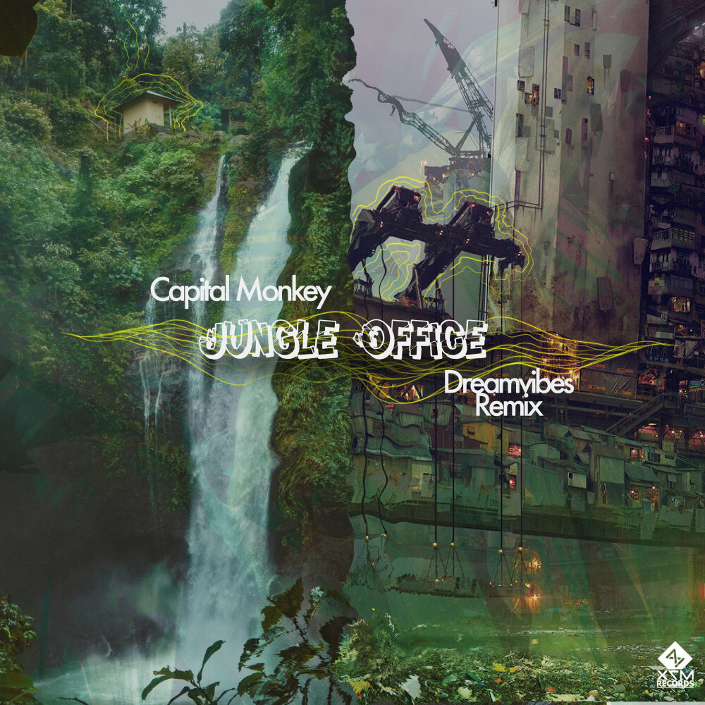 Jungle remix. Capital Monkey – Invisible.