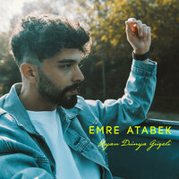 artist-cover