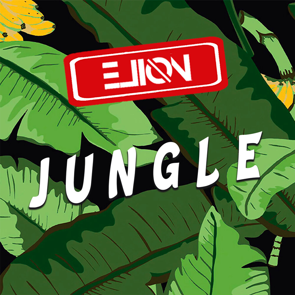 Jungle текст