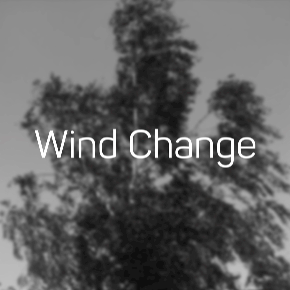 Changing winds. Ветер перемен обложка. Wind if change. Ветер перемен 2 Славгород.