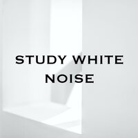 Study White Noise