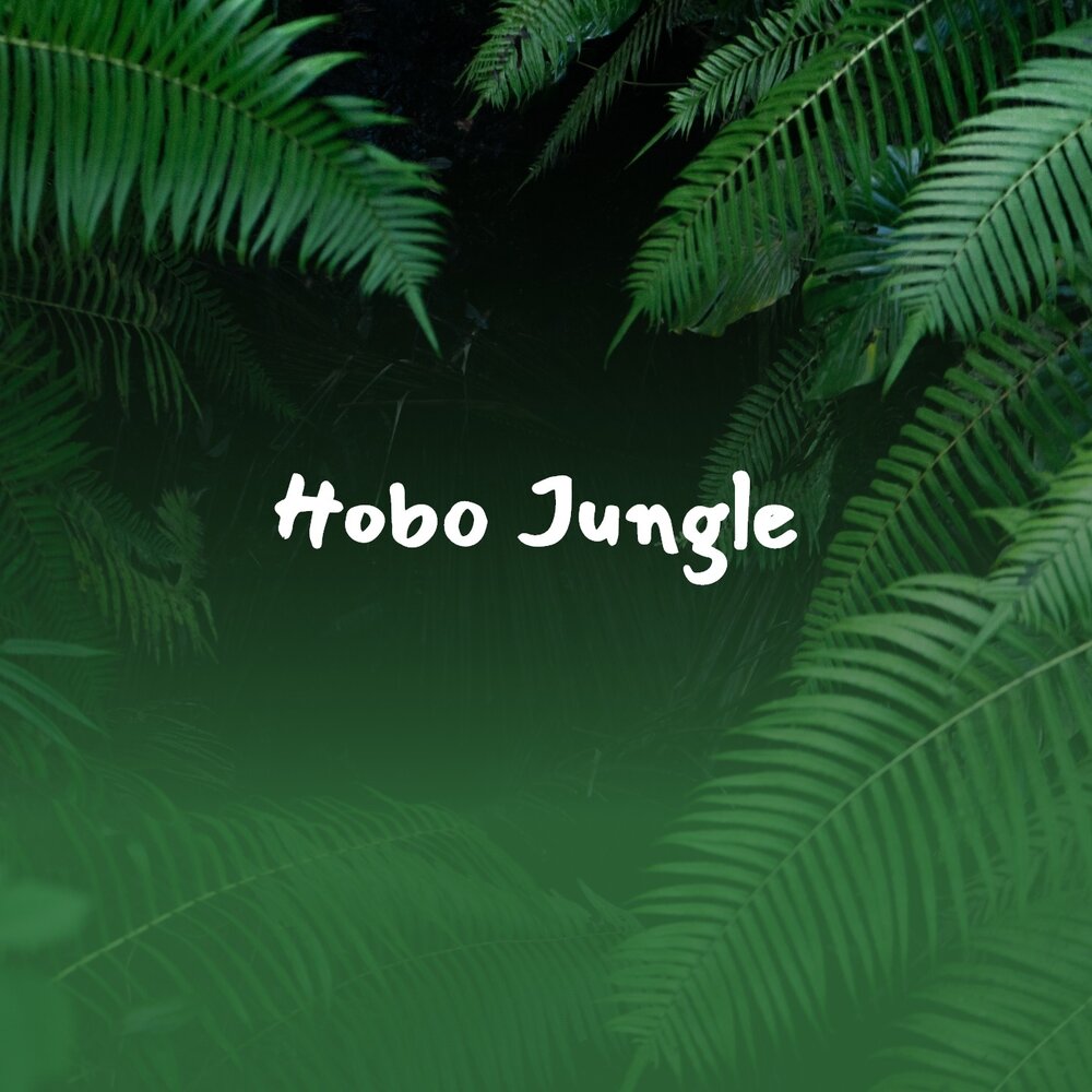 Jungle слушать