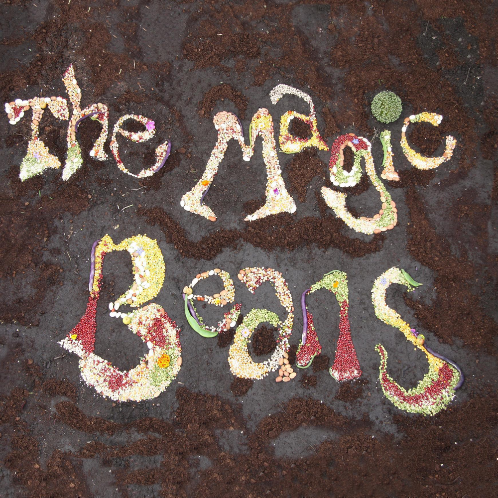 Bite hurt. Magic Beans. Captain Beefheart and his Magic Band. Love Beans слушать музыку.