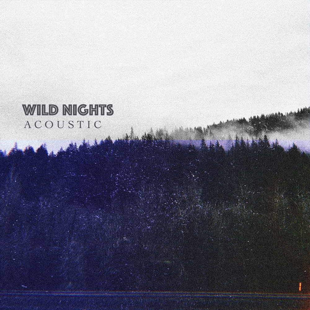 Песня дикие ночи. Wild Nights – Wild Nights!. Wild Night. Одна Дикая ночь. One way – Wild Night.