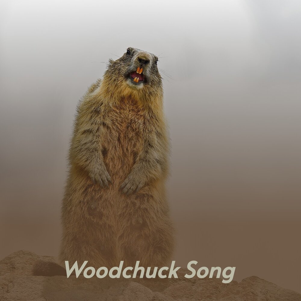 The woodchuck song. Woodchuck песня. The Woodchuck Song клип. Woodchuck слушать.