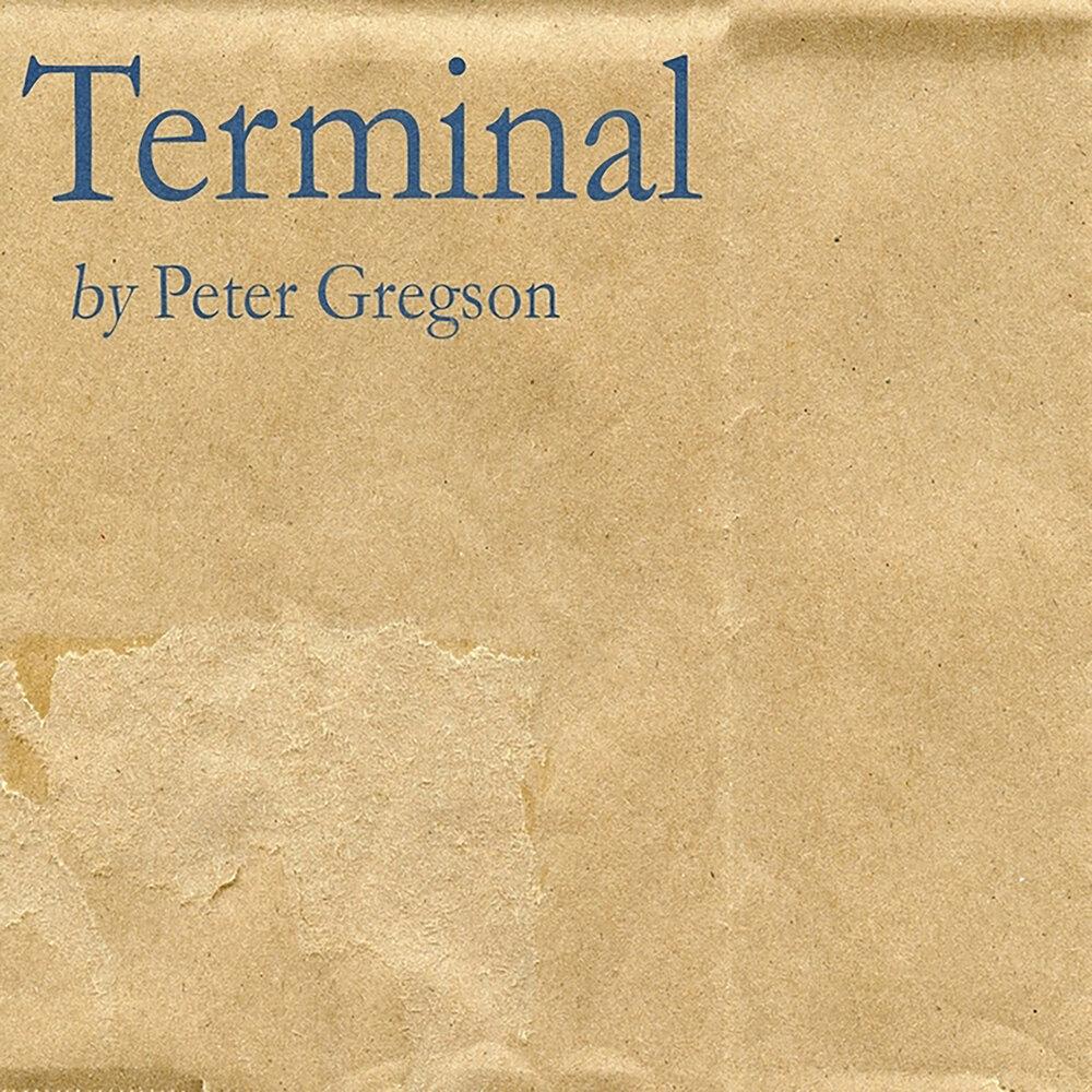 Listening term 1. Peter Gregson слушать. Peter Gregson "Patina (LP)". Peter Gregson "Patina (CD)".