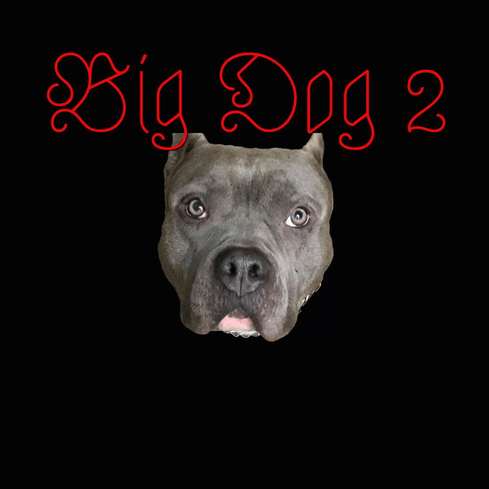 Big dog 2. Песня big Dog. Музыка little big Dog. Big Dog Rap.