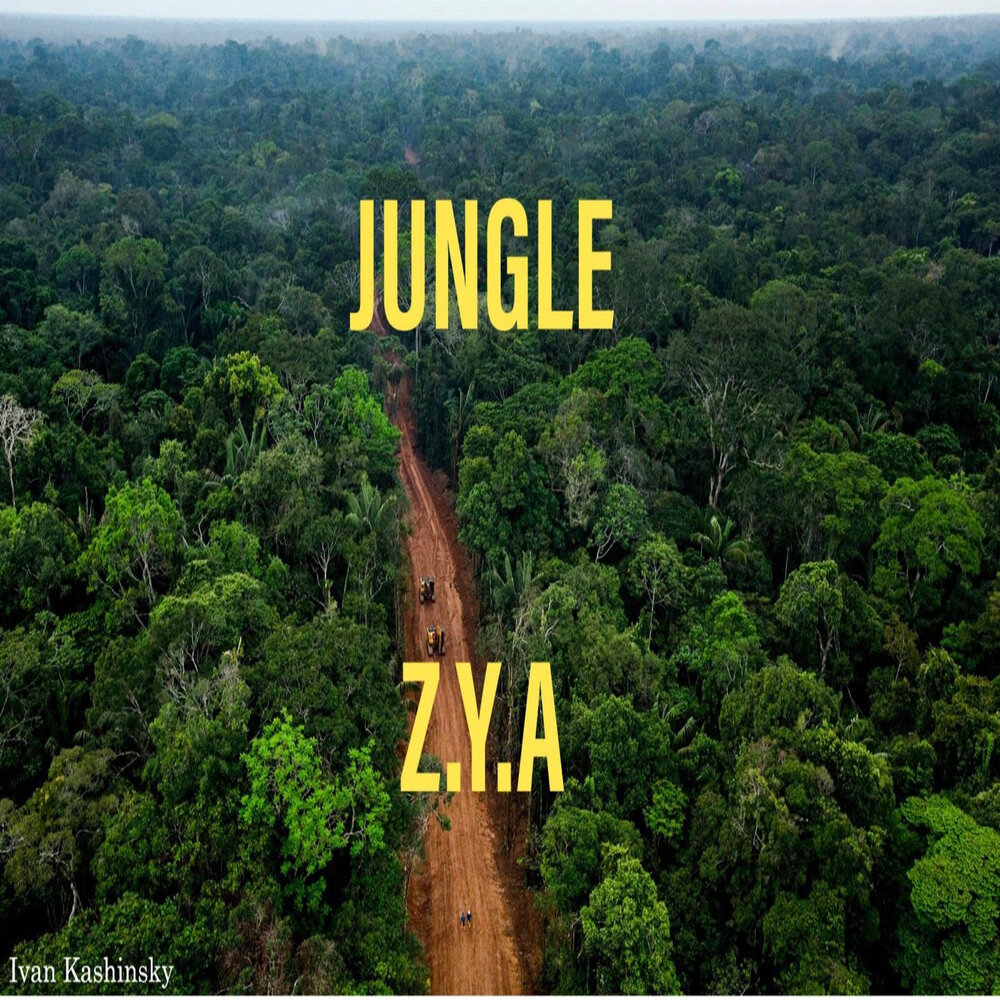 Jungle слушать