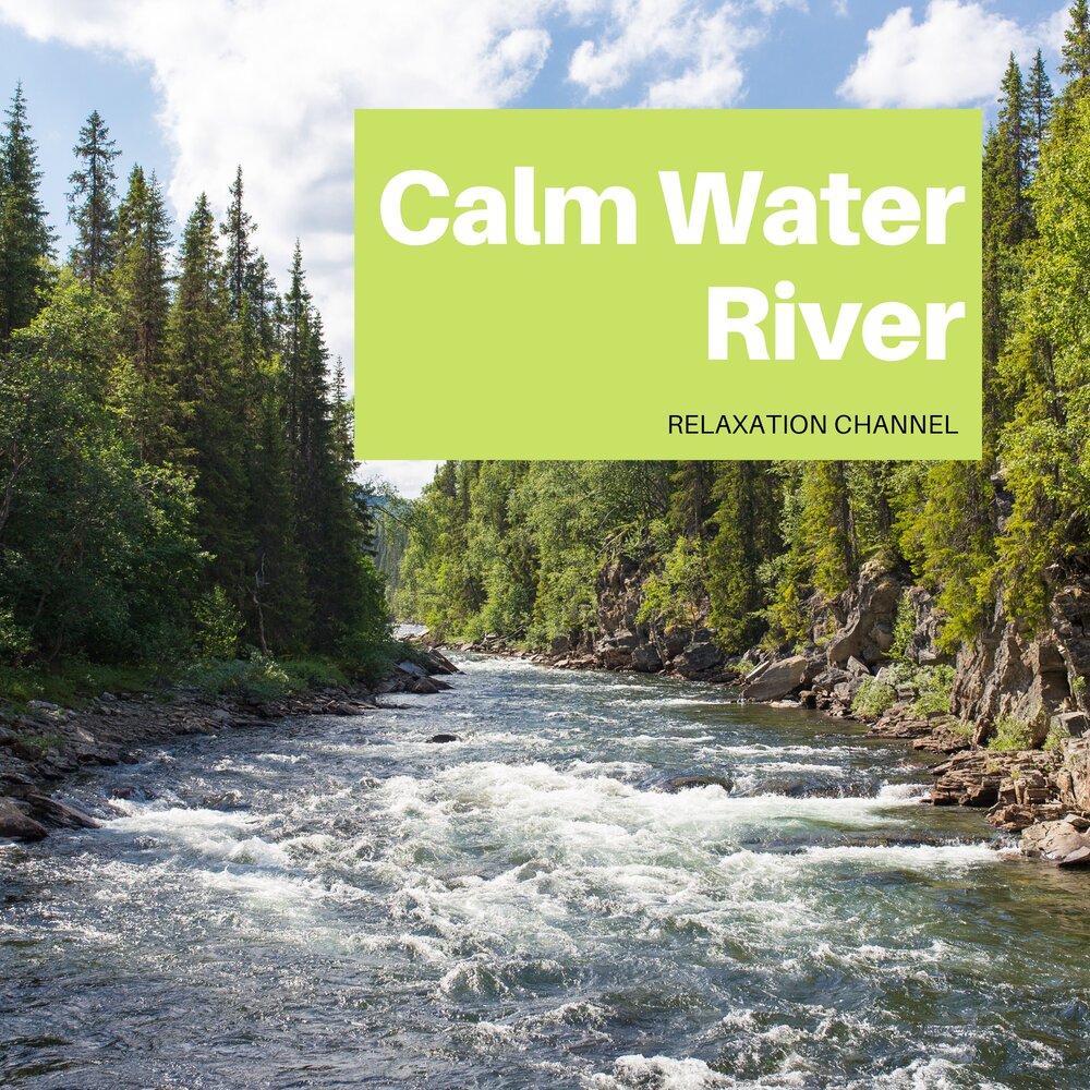 Calm River. Calming Sounds Rain Sounds.