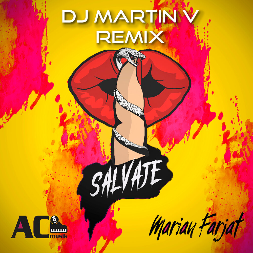 Dj martin remix