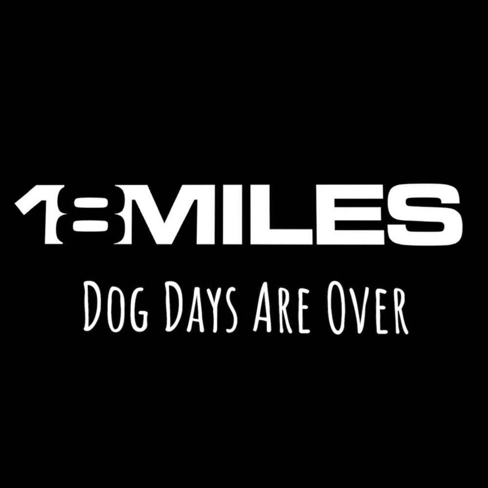 Dog days are over florence the machine. Dog days are over. Dog days are over текст. песня dog days are over. Dog days are over florence the machine обложка.
