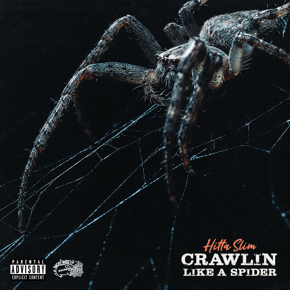 Never mad. Rise album Spider.